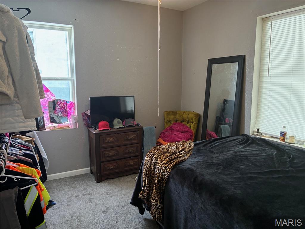 601 8th Street Highland, IL 62249 - Photo 9 of 16