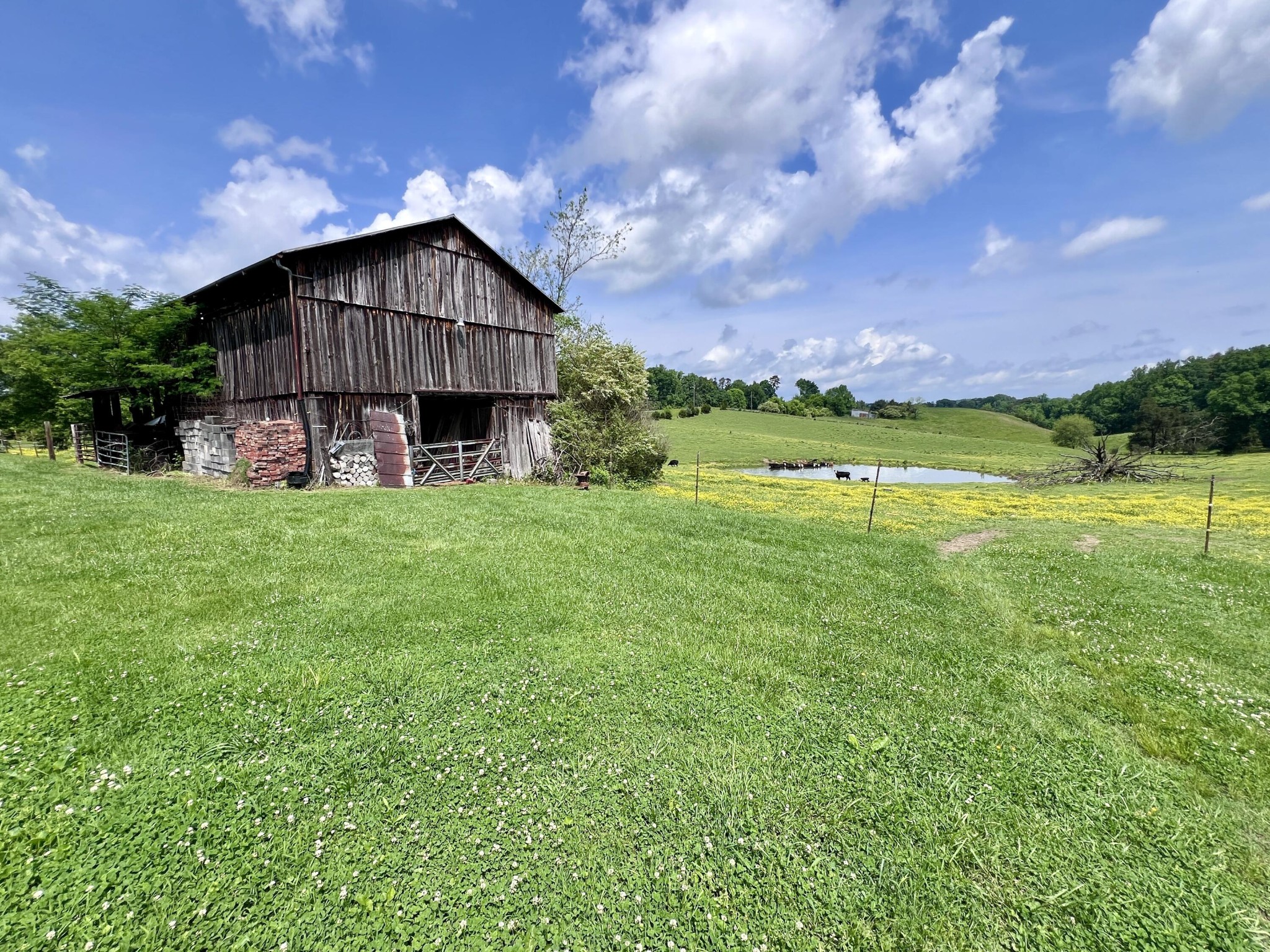 1689 Ridge Road Sevierville, TN 37862 - Photo 14 of 61