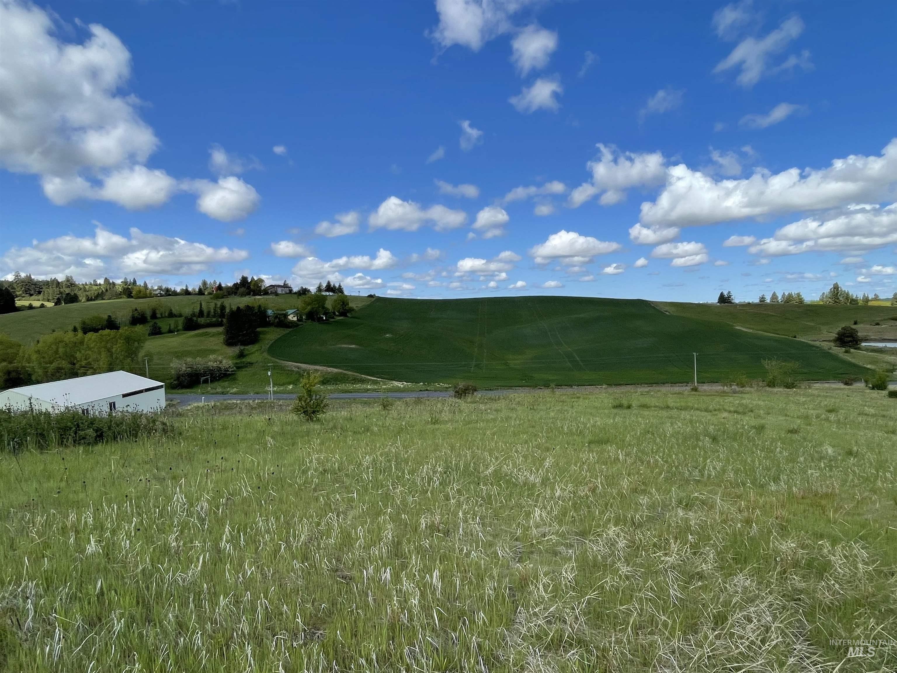 2590 Blaine Road Moscow, ID 83843 - Photo 25 of 37 Gallery Image 25