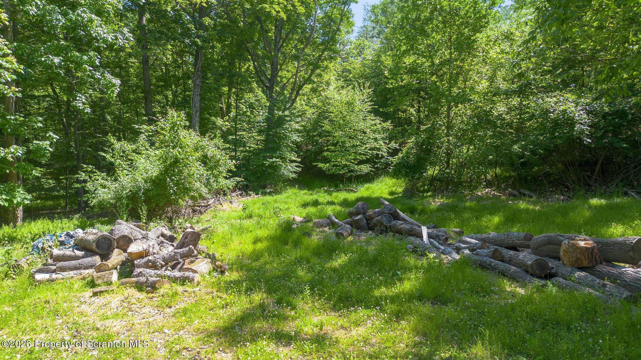 112 Spring Hill Drive Hunlock Creek, PA 18621 - Photo 11 of 54 On all sides