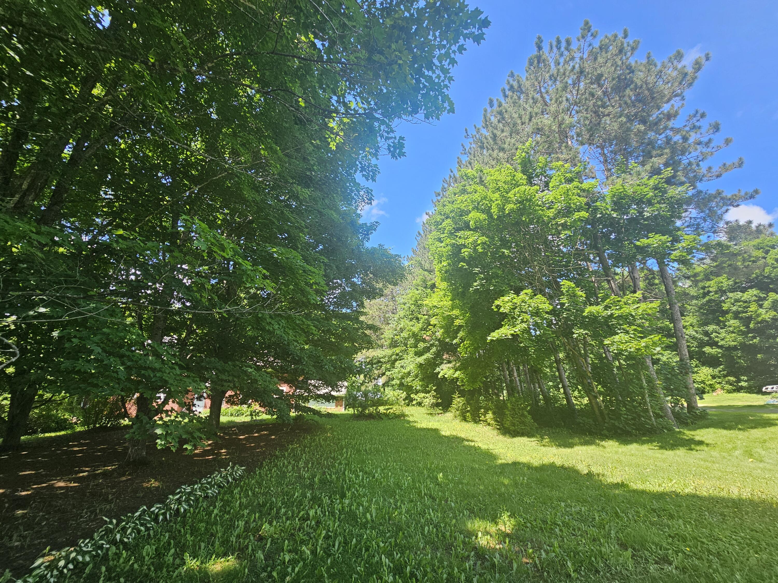 32 Willow Street Patten, ME 04765 - Photo 8 of 60
