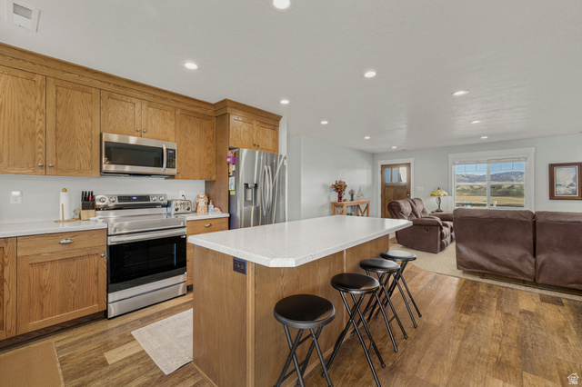 18573 South Marsh Valley Road Downey, ID 83234 - Photo 32 of 32 Kitchen with stainless steel appliances, a breakfast bar, light wood-style floors, recessed lighting, and open floor plan
