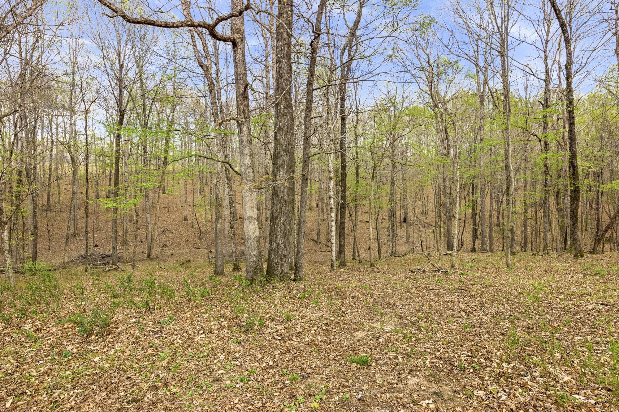 1300 Ridge Road Dickson, TN 37055 - Photo 45 of 78