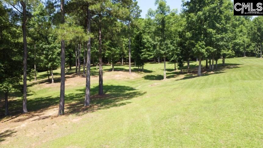 3296 Flat Rock Road Kershaw, SC 29067 - Photo 92 of 94
