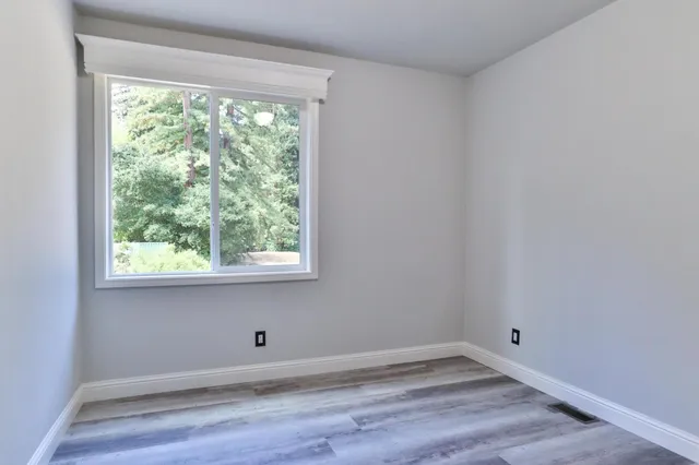 a view of a tree with a yard