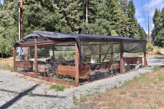 a view of a yard with a tree