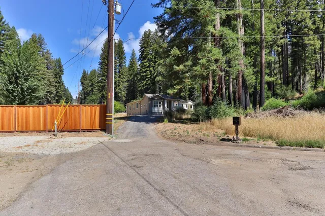a view of a trees in a yard