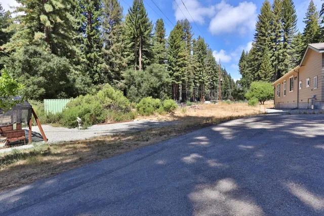 a view of a yard with plants and trees