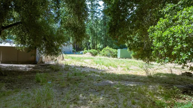 a view of a yard with a tree