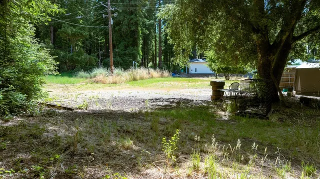 a view of a large yard with lots of bushes