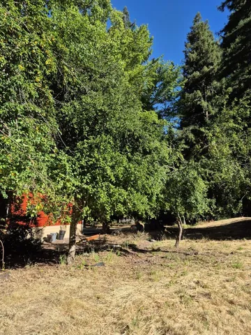 $1,099,000 | 165 Coffeeberry Drive, Boulder Creek, CA 95006