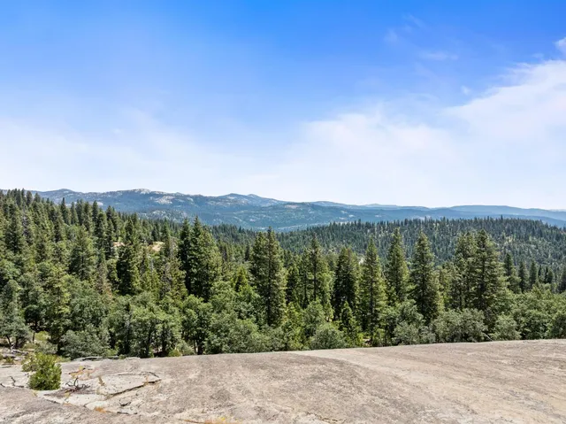 a view of a lush green forest with a building in the background