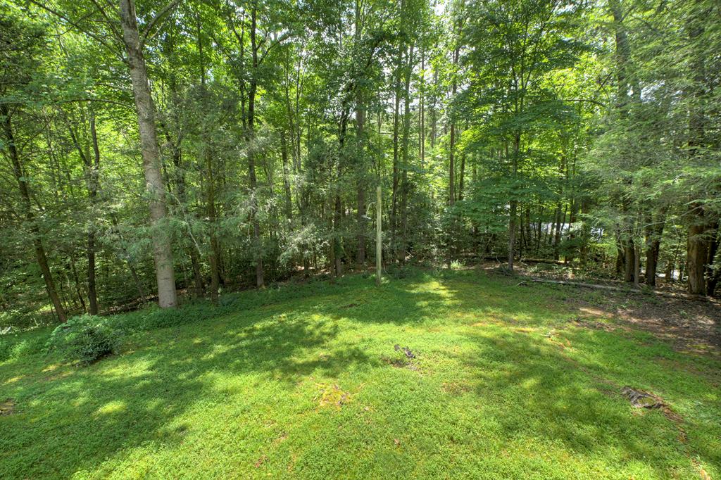 133 Yellowbird Trail Blue Ridge, GA 30513 - Photo 35 of 39 Gallery Image 35