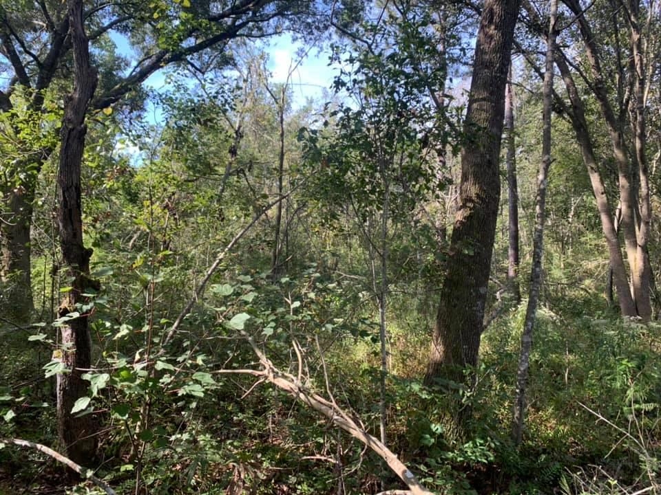 26348 Feely Road Elberta, AL 36530 - Photo 28 of 43