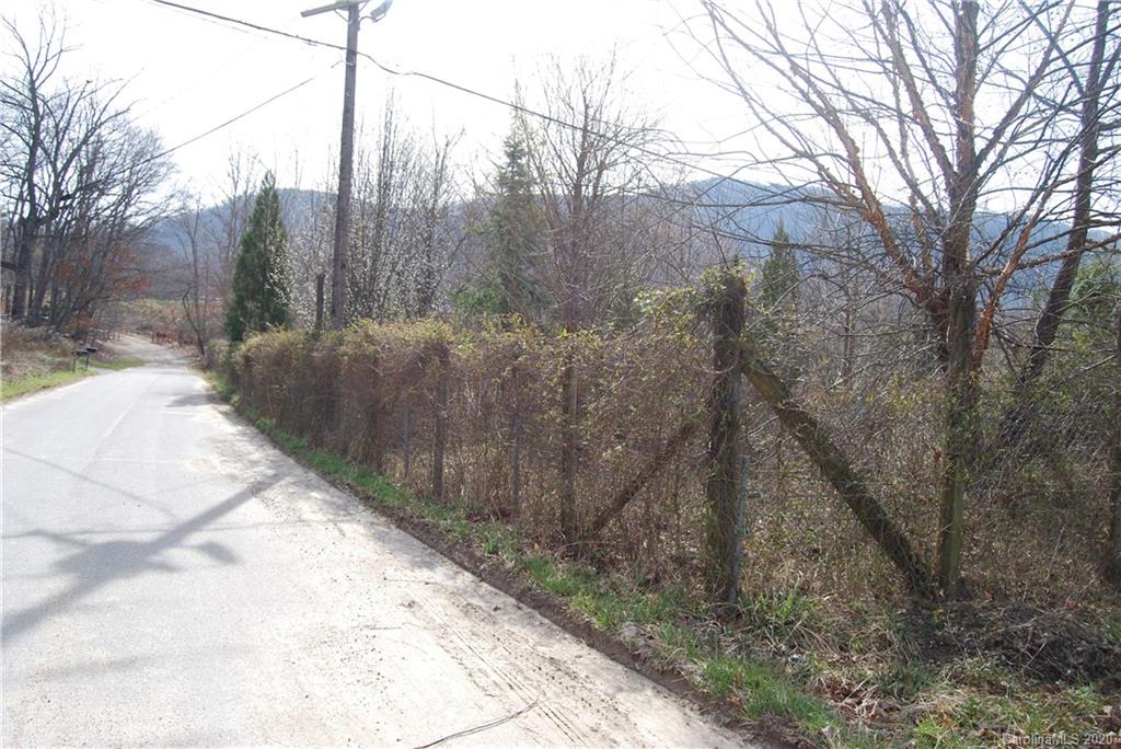 130 Lytle Cove Road Swannanoa, NC 28778 - Photo 2 of 5