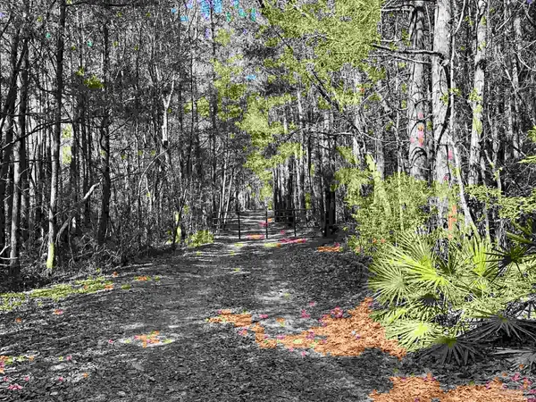 $350,000 | 3700 Vantage Road, Cantonment, FL 32533