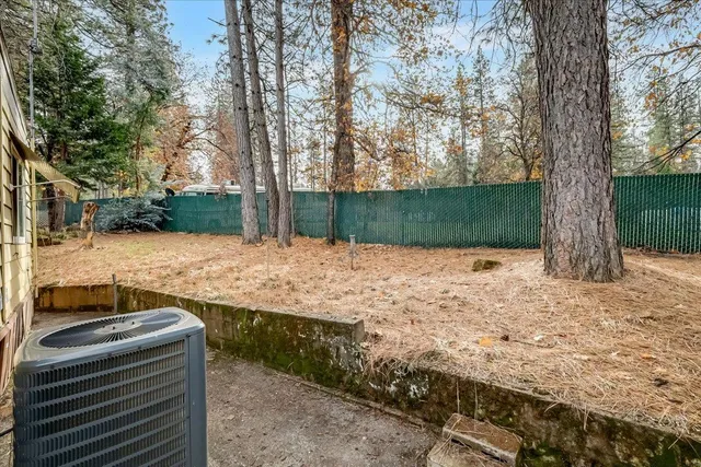a view of a yard with large trees
