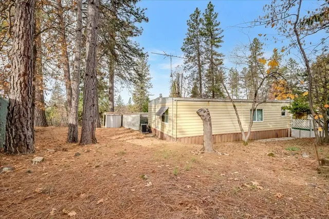 a white house that has a tree in front of it