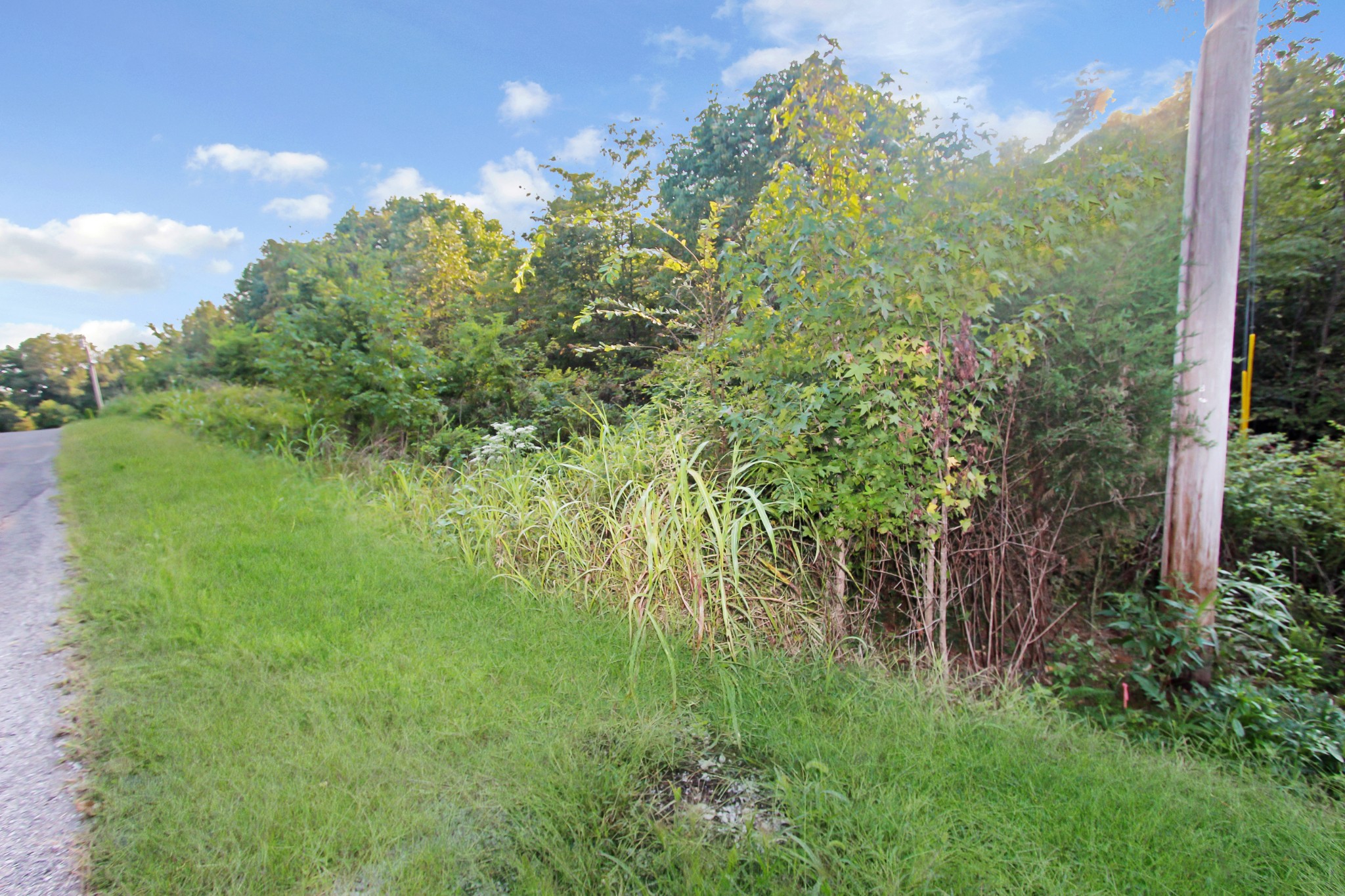 15 Cedar Point Road Bumpus Mills, TN 37028 - Photo 3 of 6 Gallery Image 3