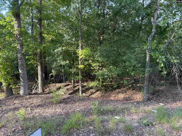 $45,900 | 229 Governor Heyward Road, Eastover, SC 29044