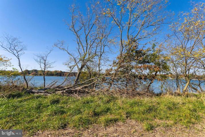 66 Map 31-g3 Parcel Road McDaniel, MD 21647 - Photo 19 of 49