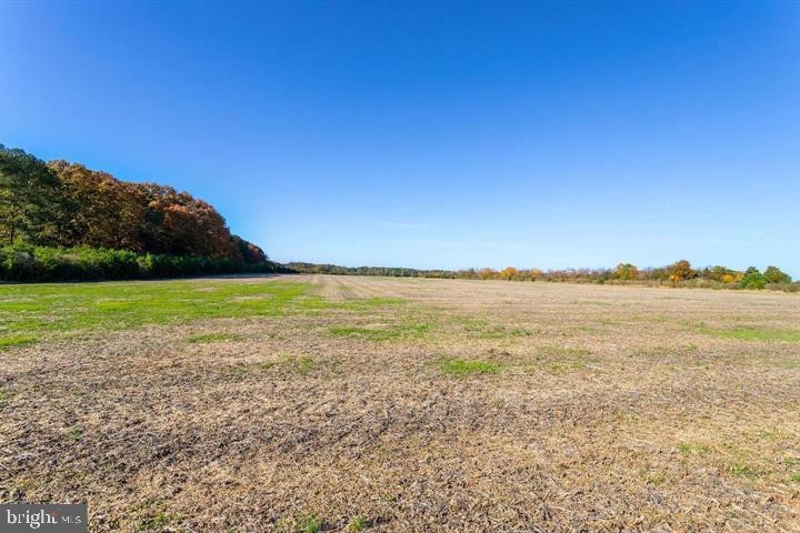66 Map 31-g3 Parcel Road McDaniel, MD 21647 - Photo 2 of 49