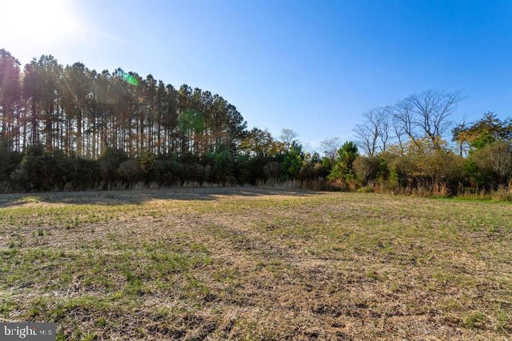 66 Map 31-g3 Parcel Road McDaniel, MD 21647 - Photo 28 of 49