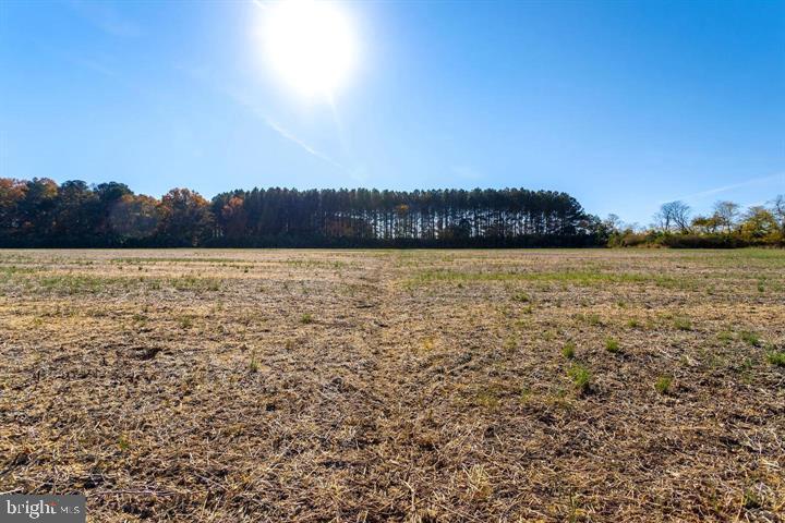 66 Map 31-g3 Parcel Road McDaniel, MD 21647 - Photo 29 of 49