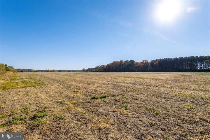 66 Map 31-g3 Parcel Road McDaniel, MD 21647 - Photo 30 of 49