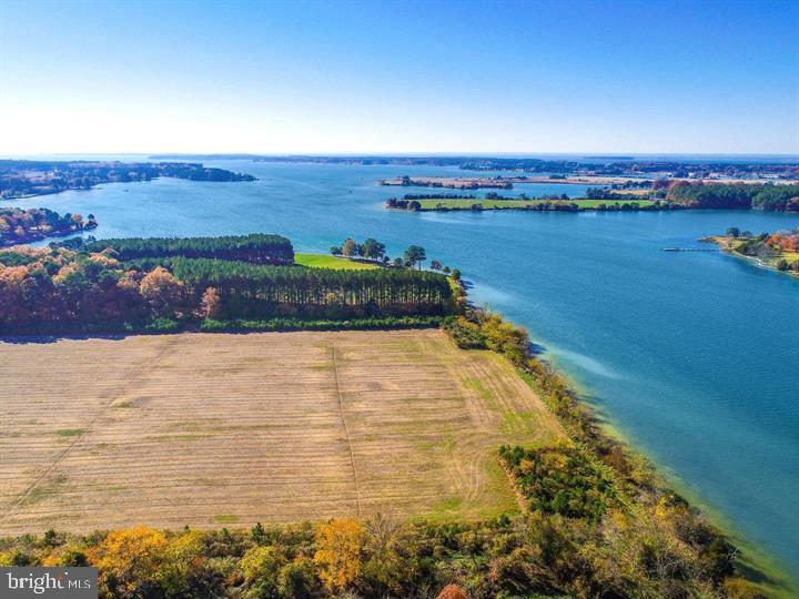 66 Map 31-g3 Parcel Road McDaniel, MD 21647 - Photo 3 of 49