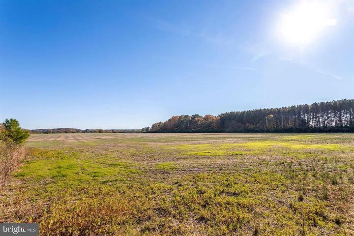 66 Map 31-g3 Parcel Road McDaniel, MD 21647 - Photo 32 of 49