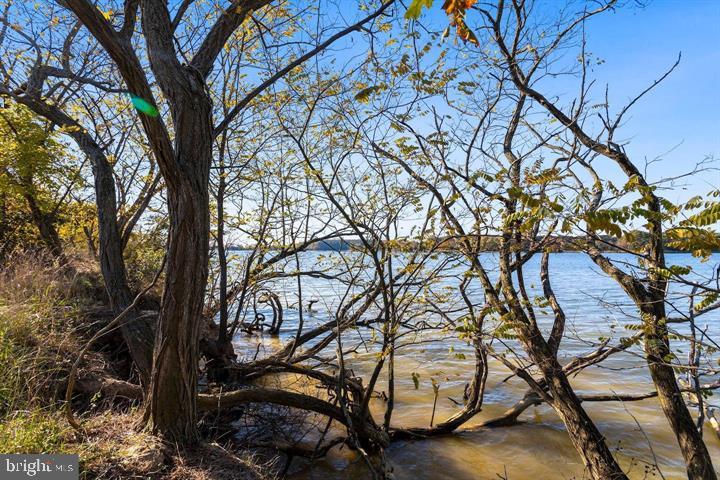 66 Map 31-g3 Parcel Road McDaniel, MD 21647 - Photo 33 of 49