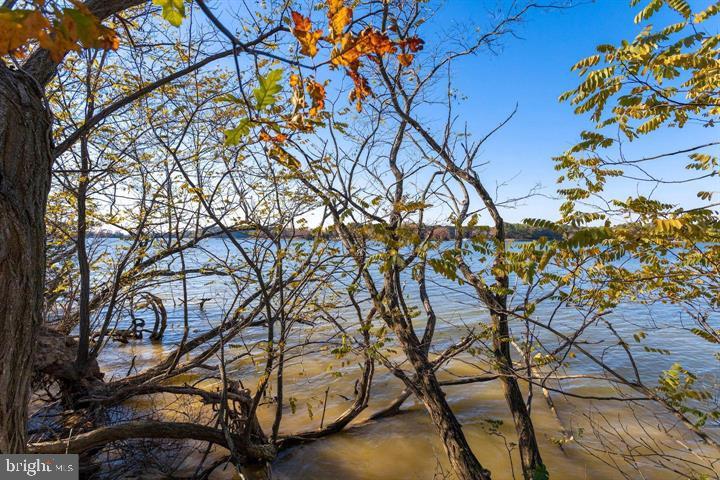 66 Map 31-g3 Parcel Road McDaniel, MD 21647 - Photo 34 of 49