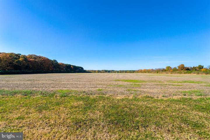 66 Map 31-g3 Parcel Road McDaniel, MD 21647 - Photo 38 of 49