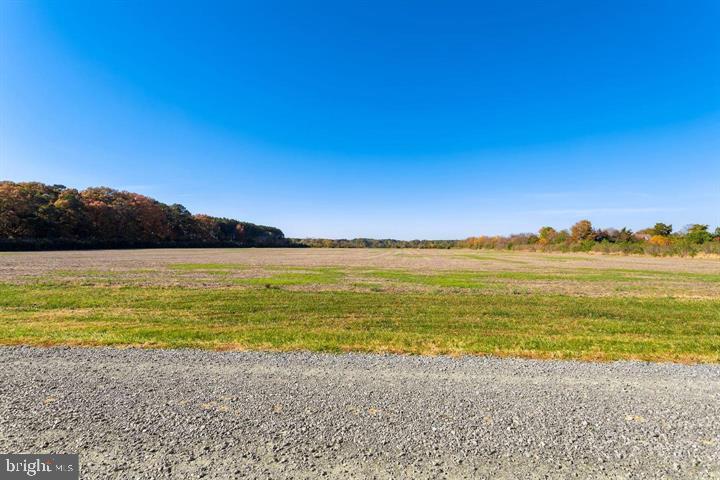66 Map 31-g3 Parcel Road McDaniel, MD 21647 - Photo 39 of 49