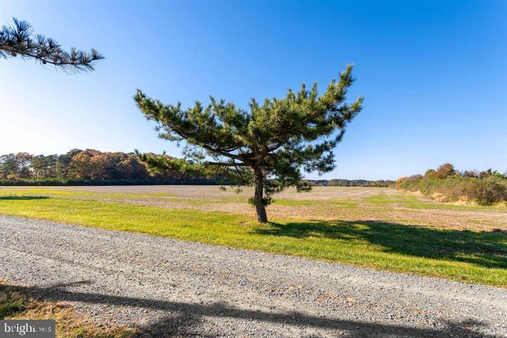 66 Map 31-g3 Parcel Road McDaniel, MD 21647 - Photo 40 of 49