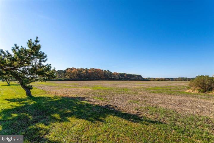 66 Map 31-g3 Parcel Road McDaniel, MD 21647 - Photo 41 of 49