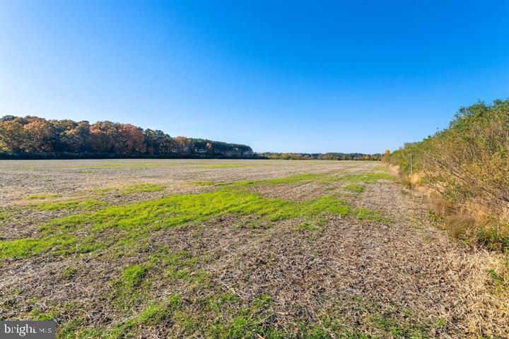 66 Map 31-g3 Parcel Road McDaniel, MD 21647 - Photo 42 of 49