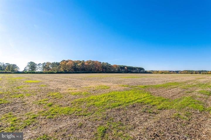 66 Map 31-g3 Parcel Road McDaniel, MD 21647 - Photo 43 of 49