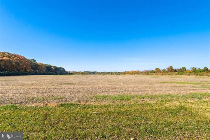 66 Map 31-g3 Parcel Road McDaniel, MD 21647 - Photo 44 of 49