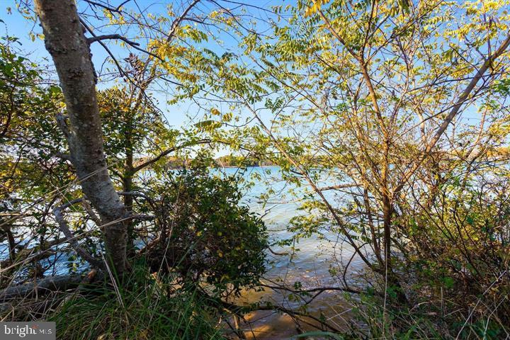 66 Map 31-g3 Parcel Road McDaniel, MD 21647 - Photo 46 of 49