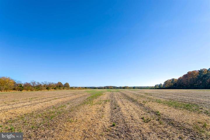 66 Map 31-g3 Parcel Road McDaniel, MD 21647 - Photo 47 of 49