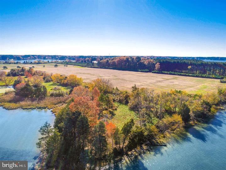 66 Map 31-g3 Parcel Road McDaniel, MD 21647 - Photo 5 of 49