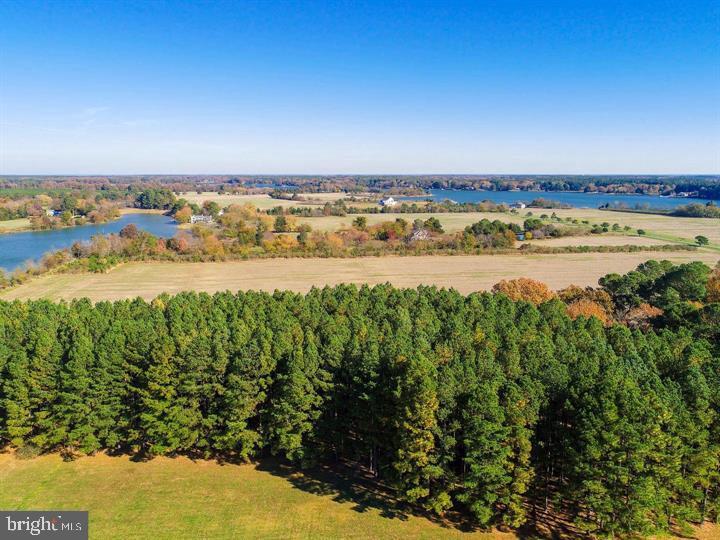 66 Map 31-g3 Parcel Road McDaniel, MD 21647 - Photo 9 of 49