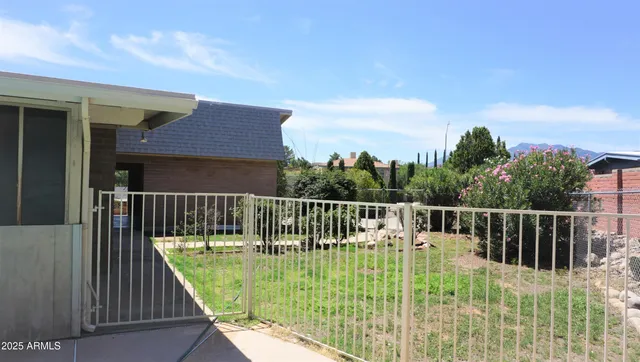 a view of a backyard