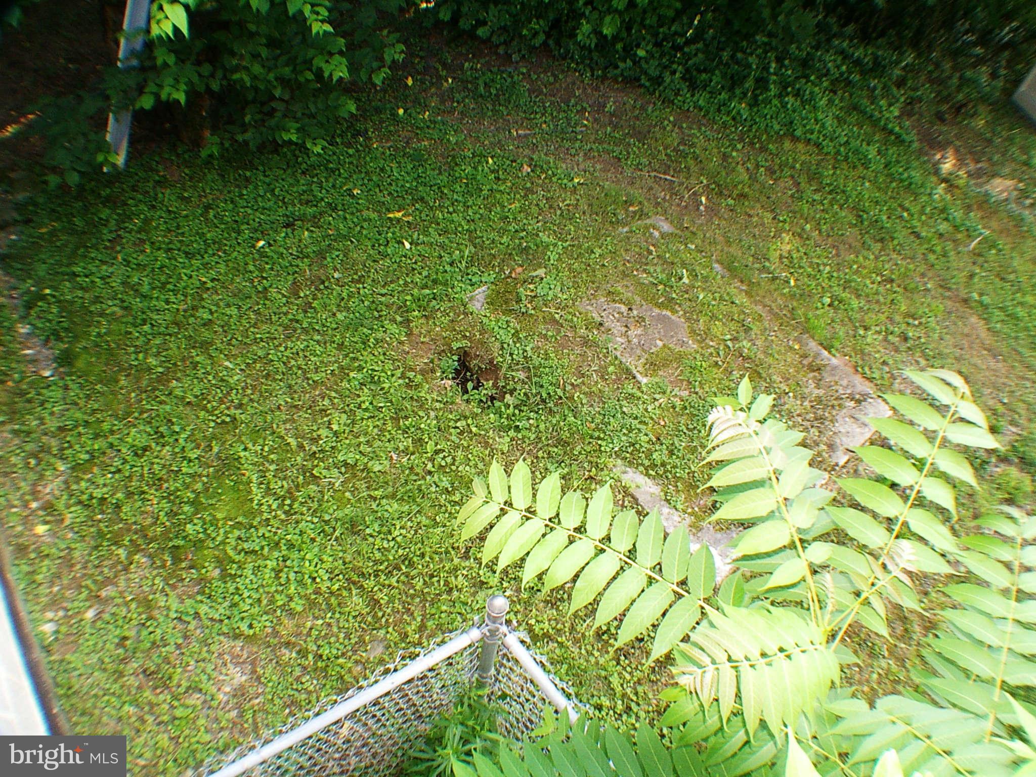 269 Bufflick Road Winchester, VA 22602 - Photo 22 of 30 Yard