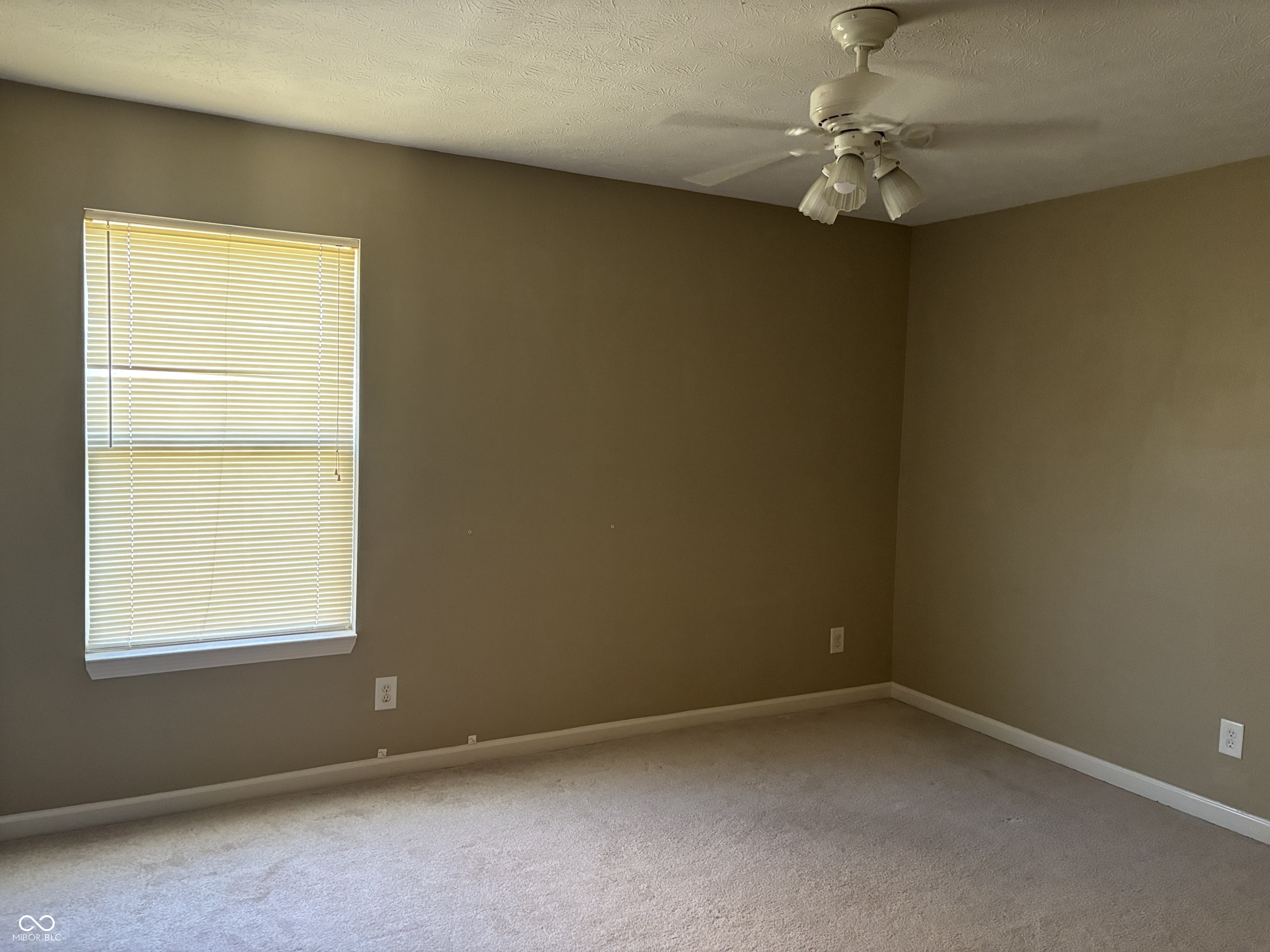1284 Summer Ridge Lane Brownsburg, IN 46112 - Photo 12 of 19