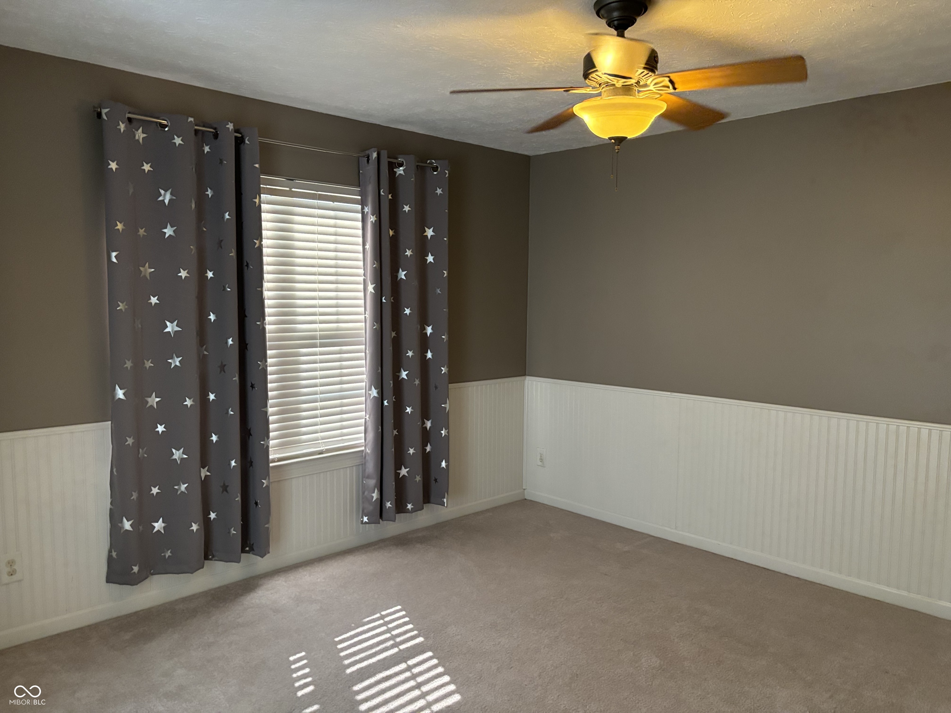 1284 Summer Ridge Lane Brownsburg, IN 46112 - Photo 14 of 19