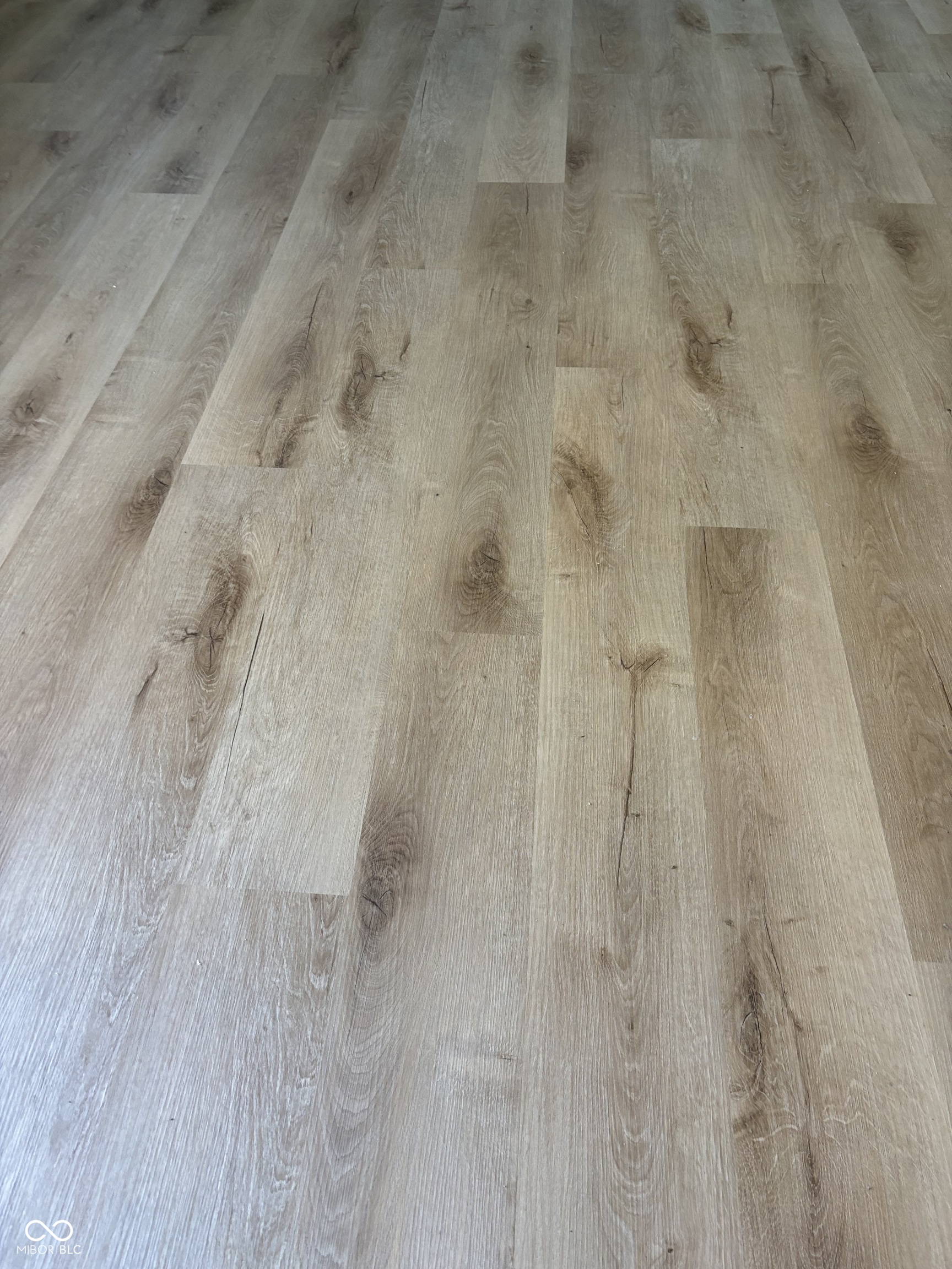 1284 Summer Ridge Lane Brownsburg, IN 46112 - Photo 8 of 19