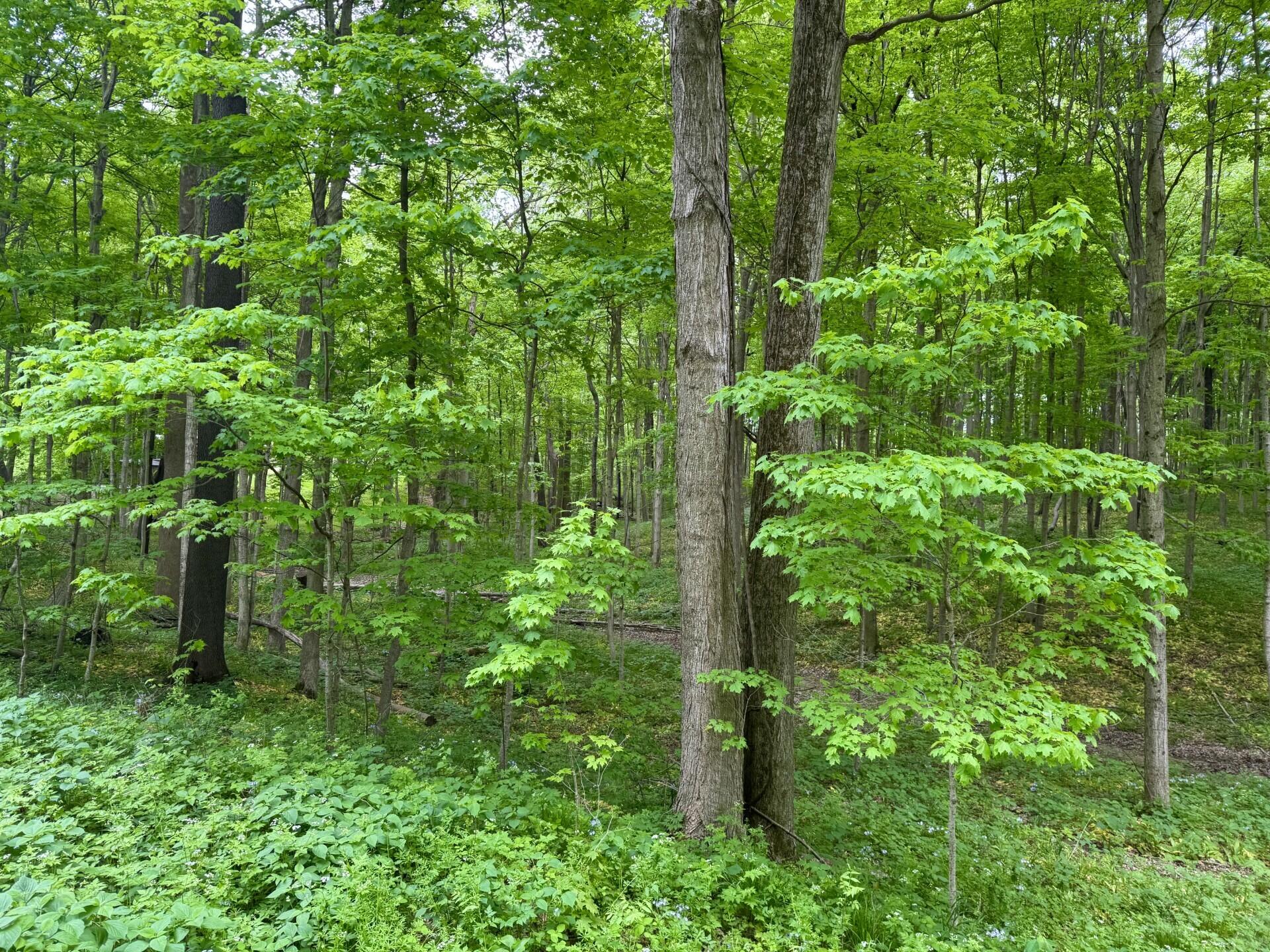V/l Gardner Road Galien, MI 49113 - Photo 2 of 11 dot2
